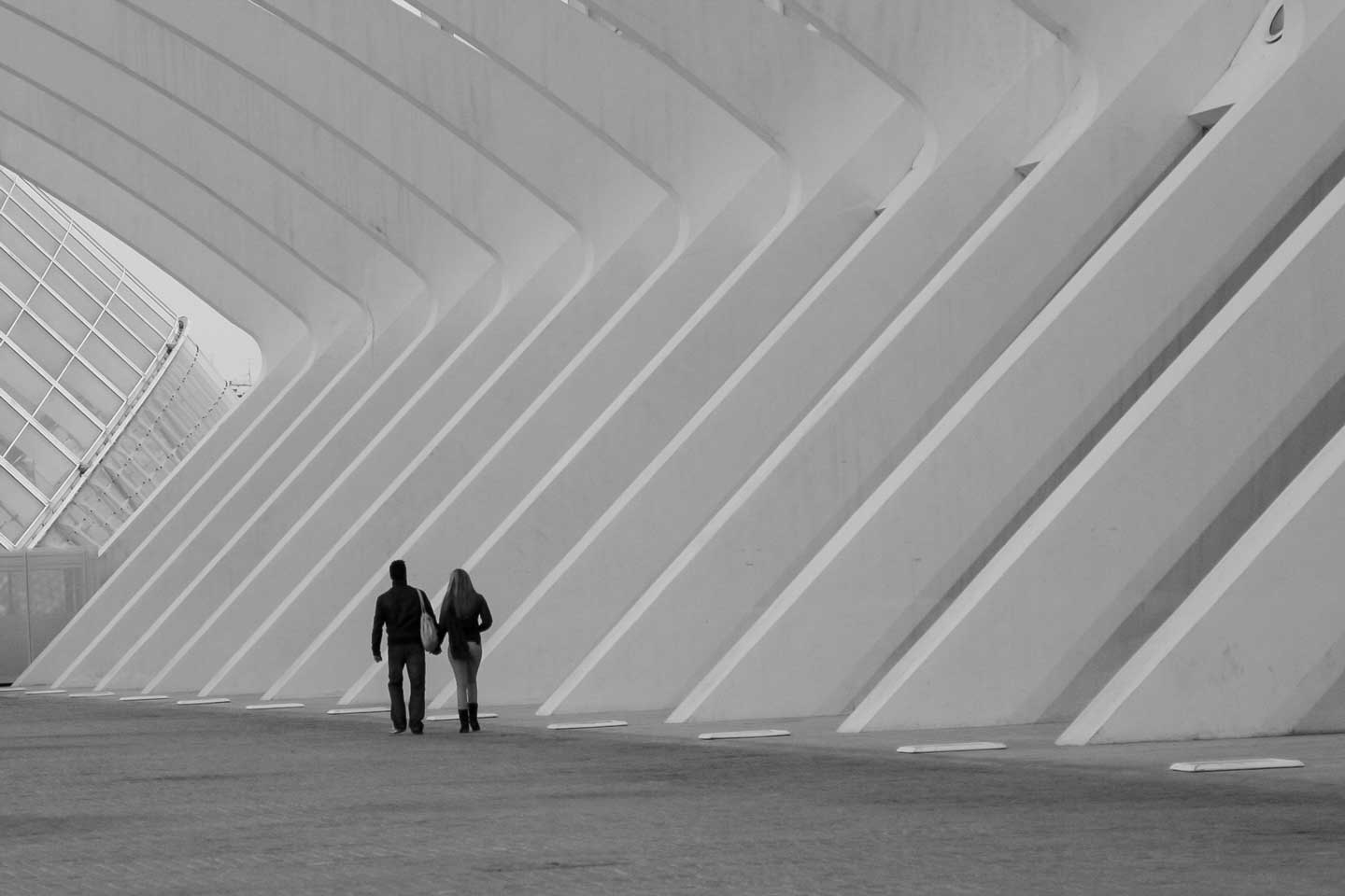 20100102-VALENCIA1001057