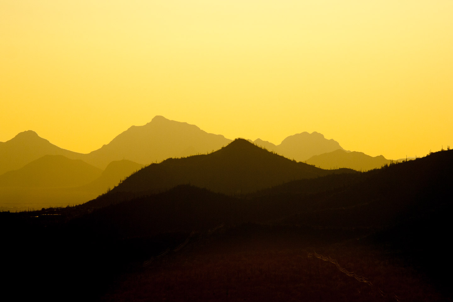 20100704-Arizona-8049