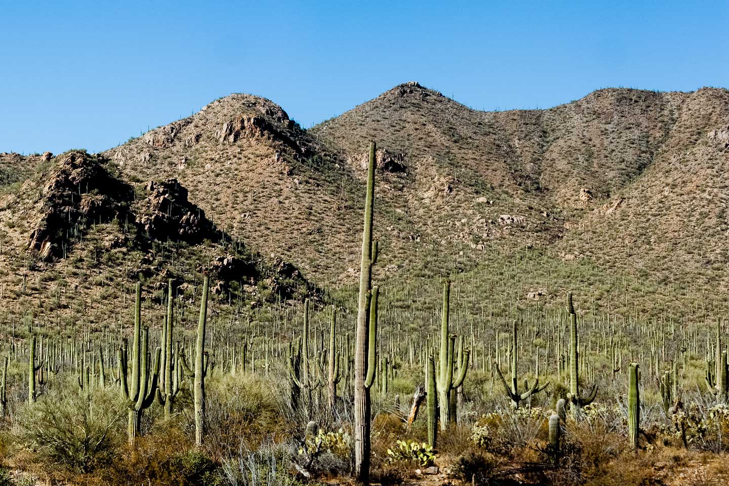 20100704-Untitled_Panorama5